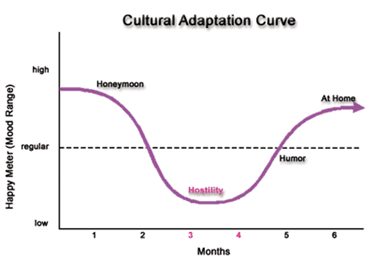 Cultural Adaptation Curve