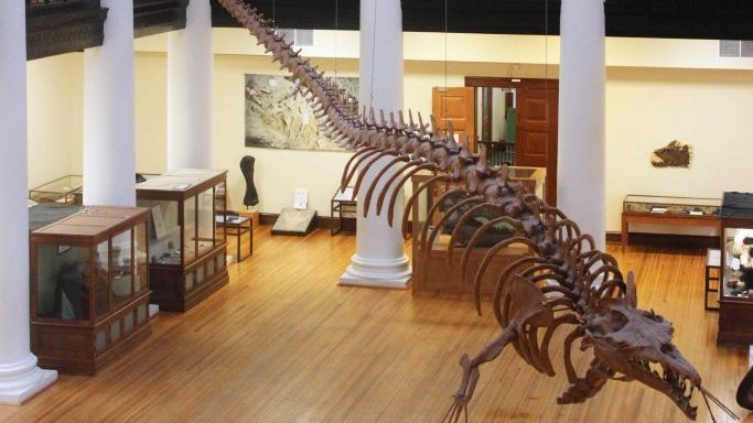 Museum of Natural History